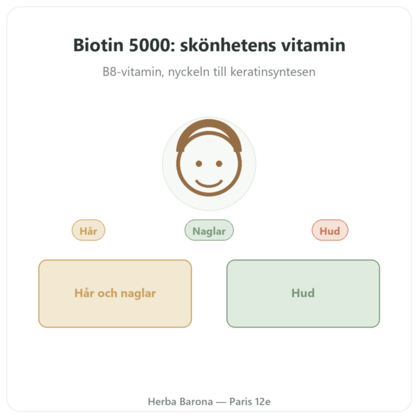 Biotin – 5000 mcg – 120 kapslar – Doctor's Best presentation Paris Herba Barona