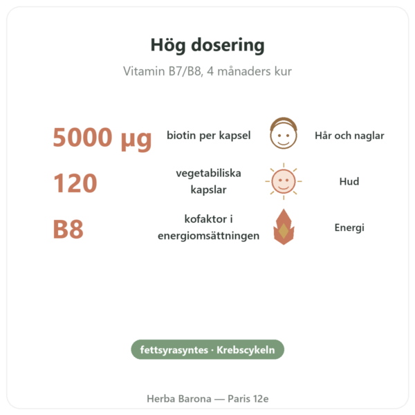 Biotin – 5000 mcg – 120 kapslar – NOW Foods fördelar och nyckelfakta Paris Herba Barona
