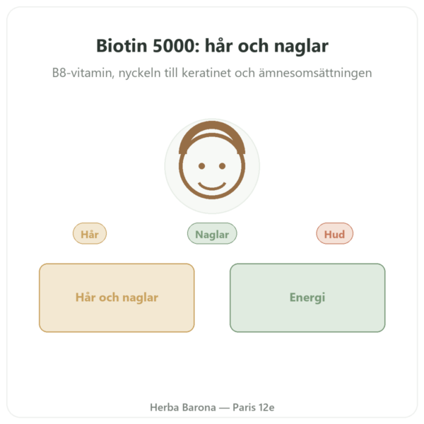 Biotin – 5000 mcg – 120 kapslar – NOW Foods presentation Paris Herba Barona