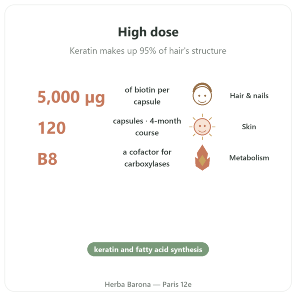Biotin 5000mcg - 120 Capsules - Doctor's Best benefits and key facts Paris Herba Barona