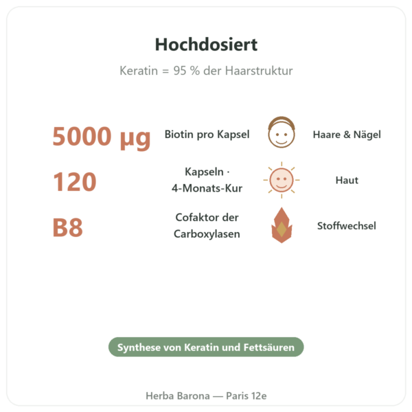 Biotin – 5000 µg – 120 Kapseln – Doctor's Best Vorteile und Fakten Paris Herba Barona