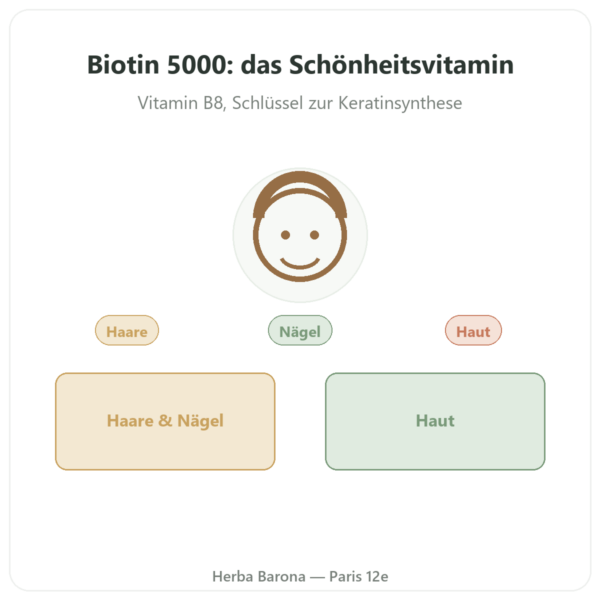 Biotin – 5000 µg – 120 Kapseln – Doctor's Best Vorstellung Paris Herba Barona