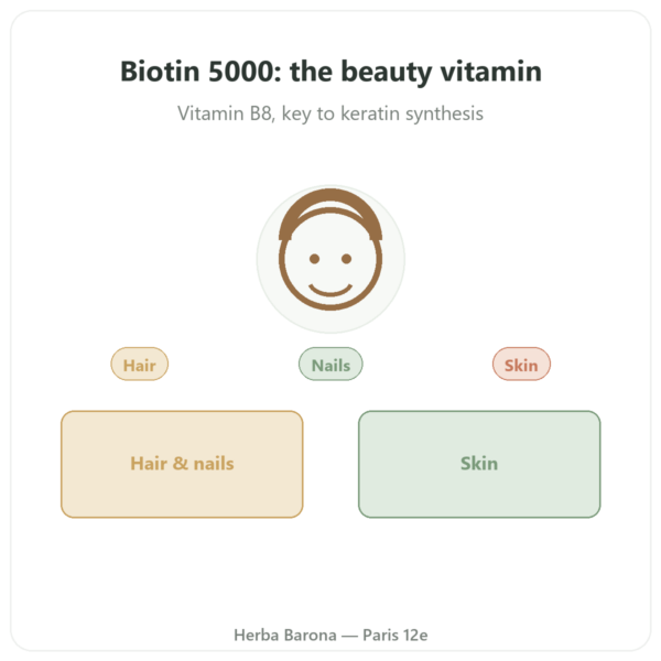 Biotin 5000mcg - 120 Capsules - Doctor's Best presentation Paris Herba Barona