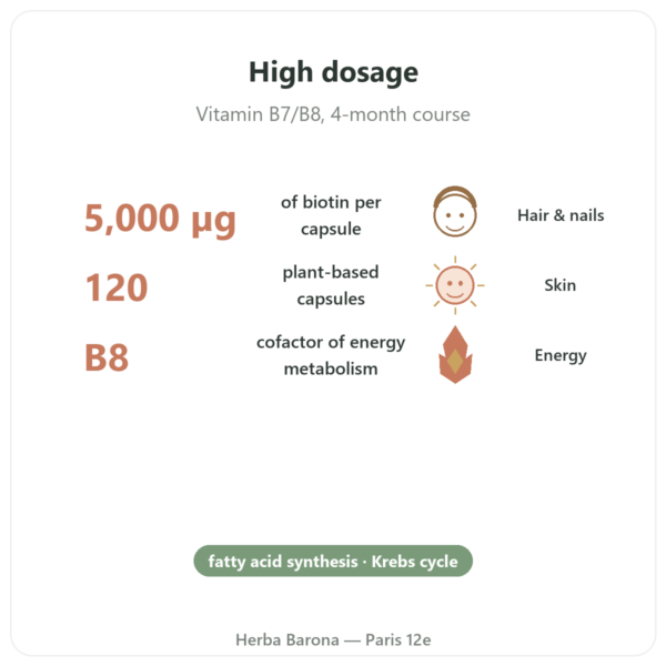 Biotin 5000mcg - Now Foods - 120 Capsules benefits and key facts Paris Herba Barona