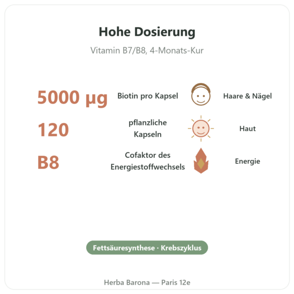 Biotin – 5000 µg – 120 pflanzliche Kapseln – Now Foods Vorteile und Fakten Paris Herba Barona