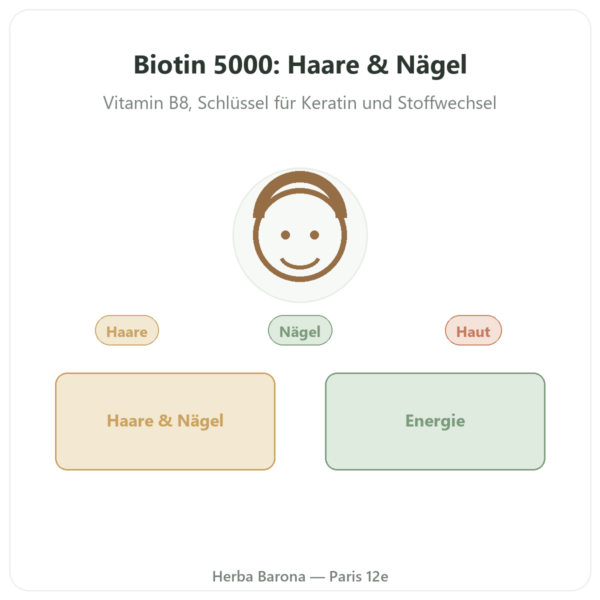 Biotin – 5000 µg – 120 pflanzliche Kapseln – Now Foods Vorstellung Paris Herba Barona