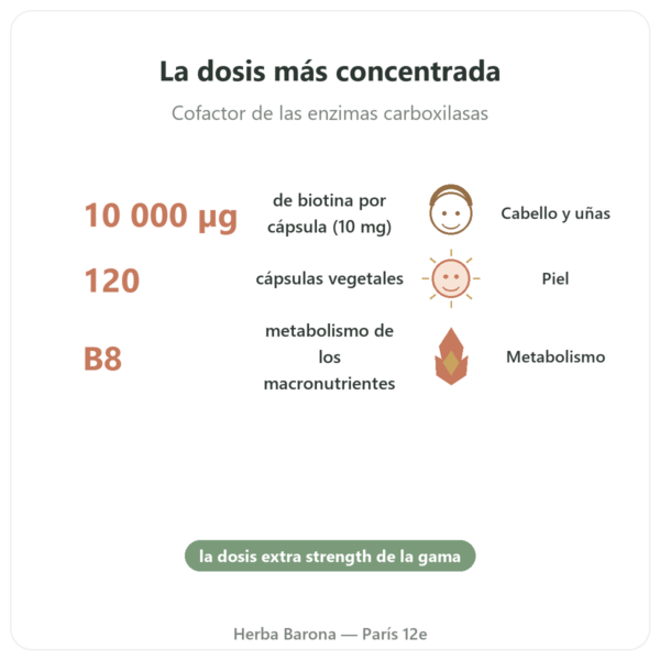 Biotina 10.000 mcg (10 mg) – NOW Foods – 120 Cápsulas beneficios y datos clave Paris Herba Barona