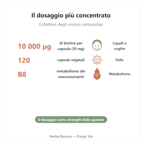 Biotina 10.000 mcg (10 mg) – NOW Foods – 120 Capsule benefici e dati chiave Paris Herba Barona