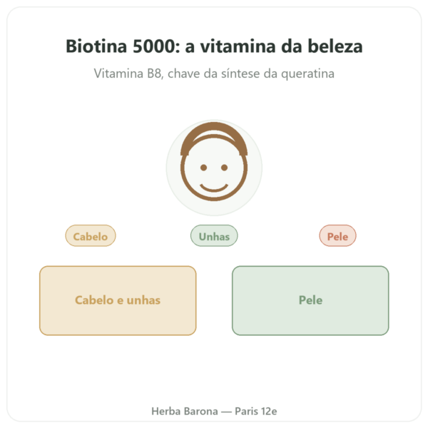 Biotina 5000 mcg – 120 Cápsulas – Doctor's Best – Comprar apresentação Paris Herba Barona