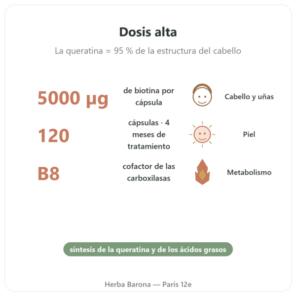 Biotina – 5000 mcg – 120 Cápsulas – Doctor's Best beneficios y datos clave Paris Herba Barona