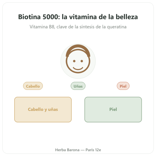 Biotina – 5000 mcg – 120 Cápsulas – Doctor's Best presentación Paris Herba Barona