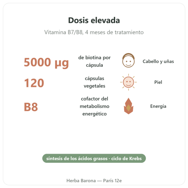 Biotina – 5000 mcg – 120 Cápsulas – Now Foods beneficios y datos clave Paris Herba Barona