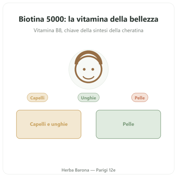 Biotina – 5000 mcg – 120 Capsule – Doctor's Best presentazione Paris Herba Barona