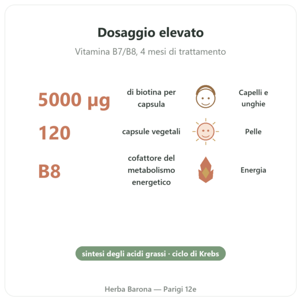 Biotina – 5000 mcg – 120 Capsule – NOW Foods benefici e dati chiave Paris Herba Barona