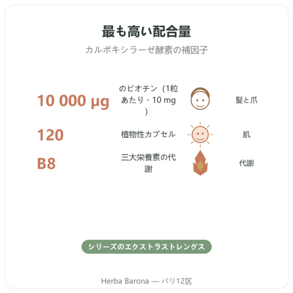 ビオチン 10 000 mcg（10 mg） – Now Foods – 120カプセル benefits and key facts Paris Herba Barona