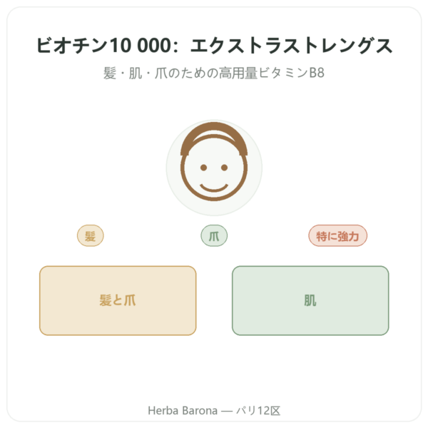 ビオチン 10 000 mcg（10 mg） – Now Foods – 120カプセル presentation Paris Herba Barona