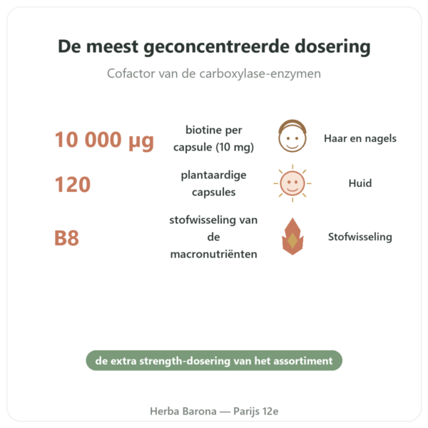 Biotine – 10.000 mcg (10 mg) – Now Foods – 120 capsules voordelen en kerngegevens Paris Herba Barona