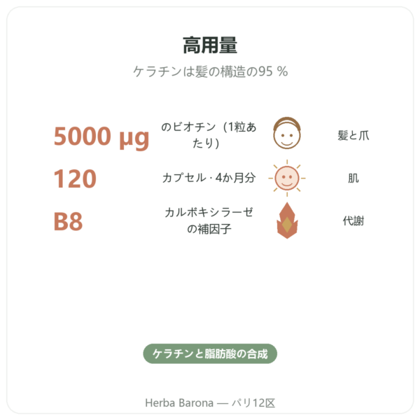 ビオチン – 5000 mcg – 120カプセル – Doctor’s best benefits and key facts Paris Herba Barona