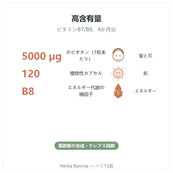 Biotin ビオチン – 5000 mcg – 120カプセル – NOW Foods benefits and key facts Paris Herba Barona
