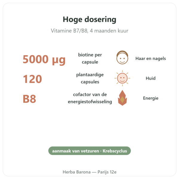 Biotine 5000 mcg – 120 capsules – NOW Foods voordelen en kerngegevens Paris Herba Barona