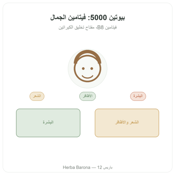 بيوتين – 5000 مكغ – 120 كبسولة – Doctor's Best عرض المنتج Paris Herba Barona