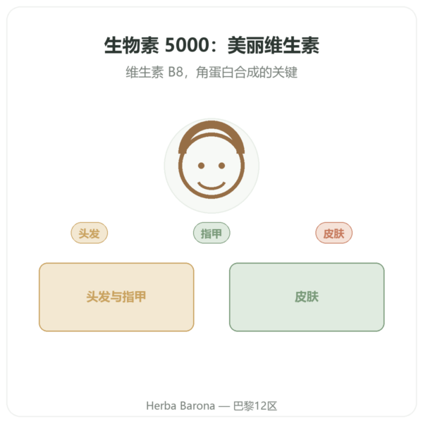 生物素 – 5000 mcg – 120 粒 – Doctor's best 产品展示 Paris Herba Barona