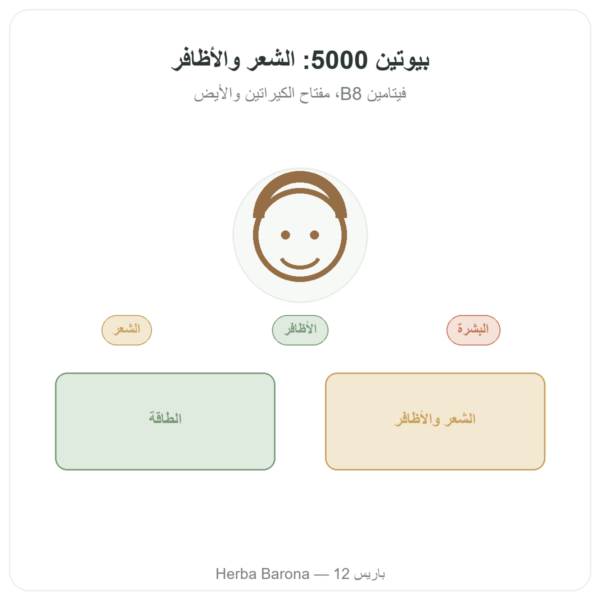 بيوتين – 5000 ميكروغرام – 120 كبسولة – NOW Foods عرض المنتج Paris Herba Barona