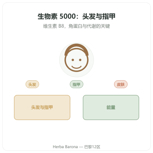 Biotin 生物素 – 5000 mcg – 120 粒胶囊 – NOW Foods 产品展示 Paris Herba Barona