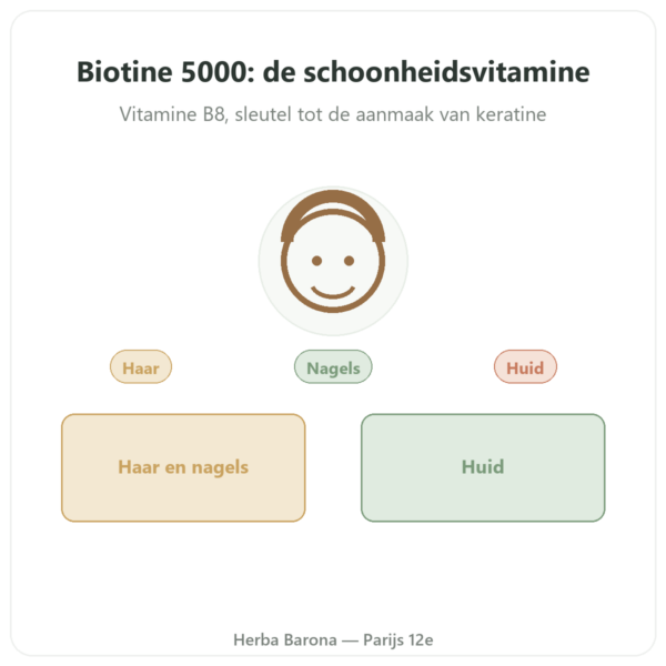 Biotine – 5000 mcg – 120 capsules – Doctor's Best presentatie Paris Herba Barona