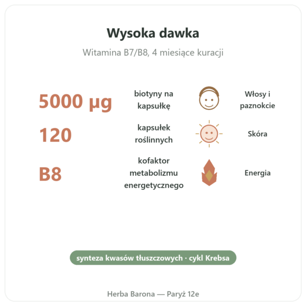 Biotyna – 5000 mcg – 120 kapsułek – NOW Foods korzyści i najważniejsze fakty Paris Herba Barona