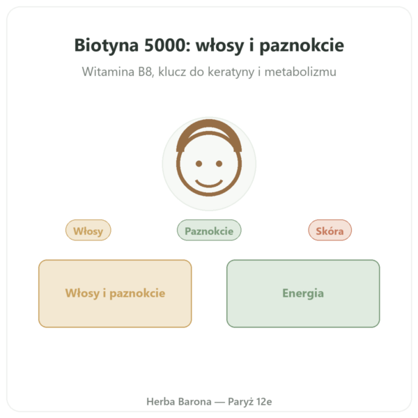 Biotyna – 5000 mcg – 120 kapsułek – NOW Foods prezentacja Paris Herba Barona