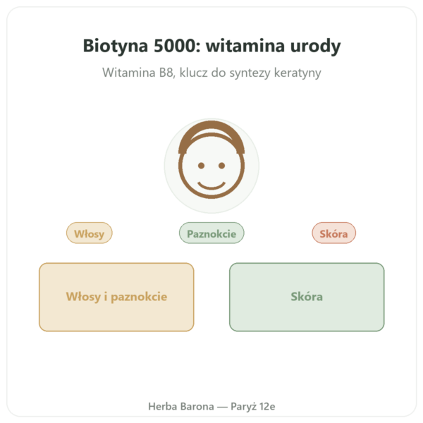 Biotyna – 5000 mcg – 120 kapsułek – Doctor's best prezentacja Paris Herba Barona