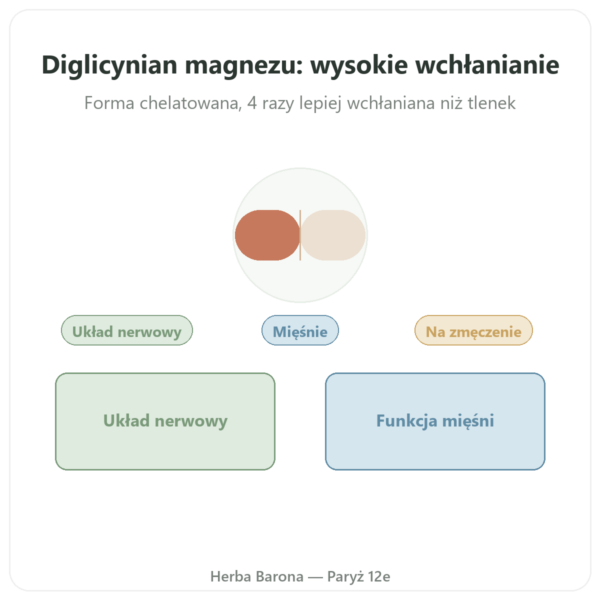 Bisglicynian magnezu – Dynveo – 60 kapsułek prezentacja Paris Herba Barona