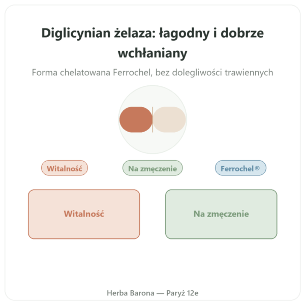 Bisglicynian Żelaza – Dynveo – 60 kapsułek prezentacja Paris Herba Barona