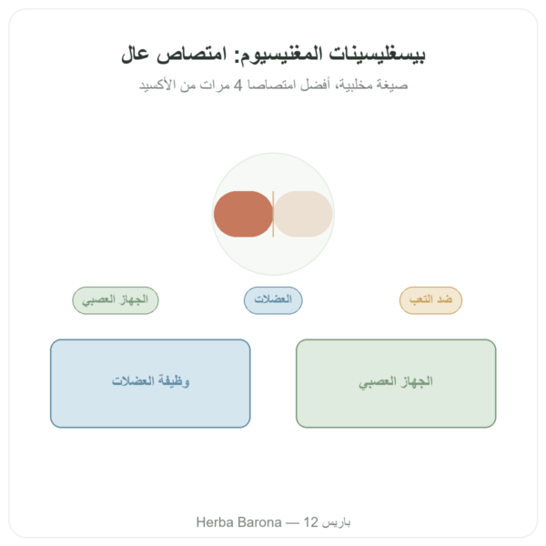 مغنيسيوم بيسغليسينات – Dynveo – 60 كبسولة عرض المنتج Paris Herba Barona