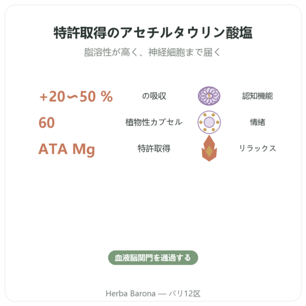 マグネシウム アセチルタウリネート ATA Mg – 60カプセル – Dynveo benefits and key facts Paris Herba Barona