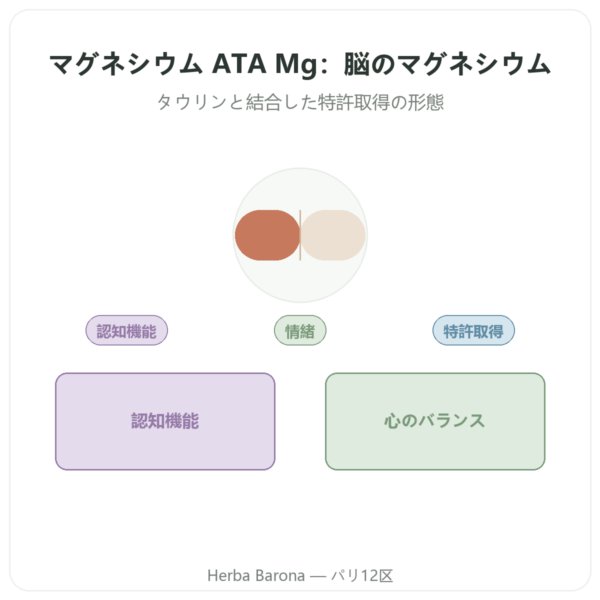 マグネシウム アセチルタウリネート ATA Mg – 60カプセル – Dynveo presentation Paris Herba Barona