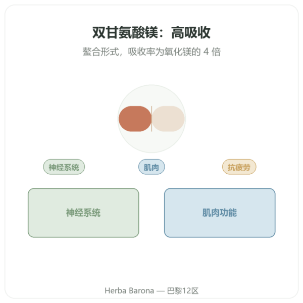 甘氨酸镁 – Dynveo – 60 粒胶囊 产品展示 Paris Herba Barona