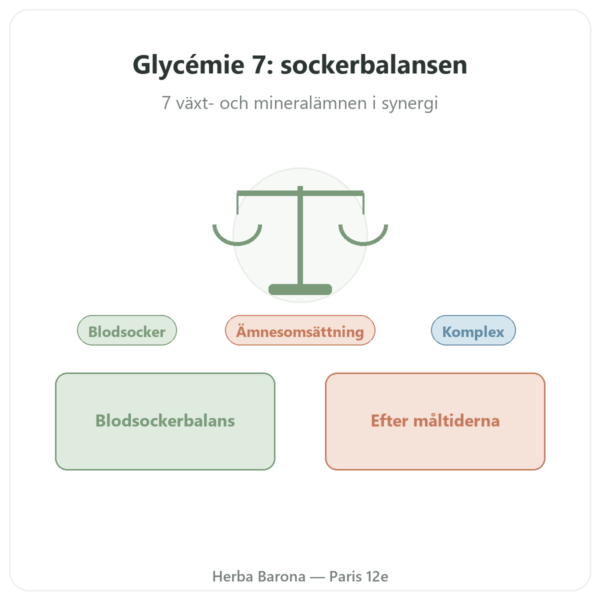 Blodsocker 7 – Komplex med 7 aktiva ämnen – 60 kapslar – Dynveo presentation Paris Herba Barona