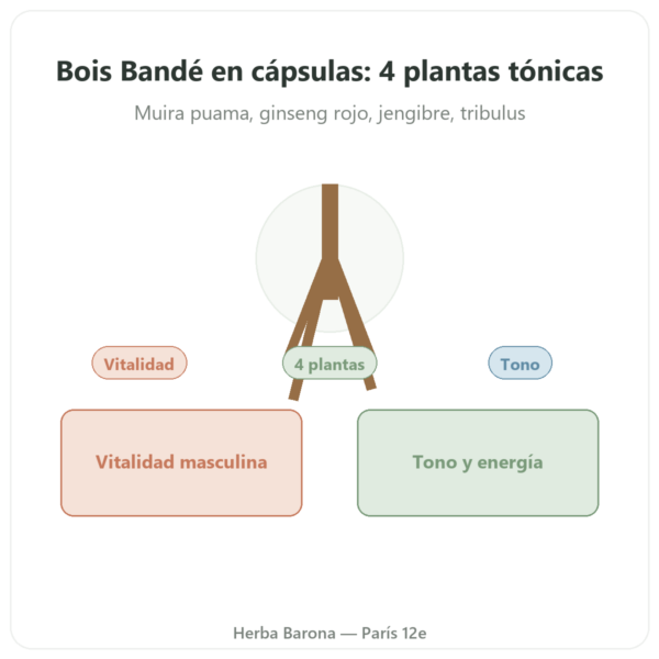 Bois Bandé – 75 Cápsulas – Afrodisíaco de Acción Rápida presentación Paris Herba Barona