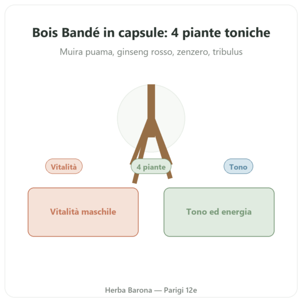 Bois Bandé – 75 capsule – afrodisiaco rapido presentazione Paris Herba Barona
