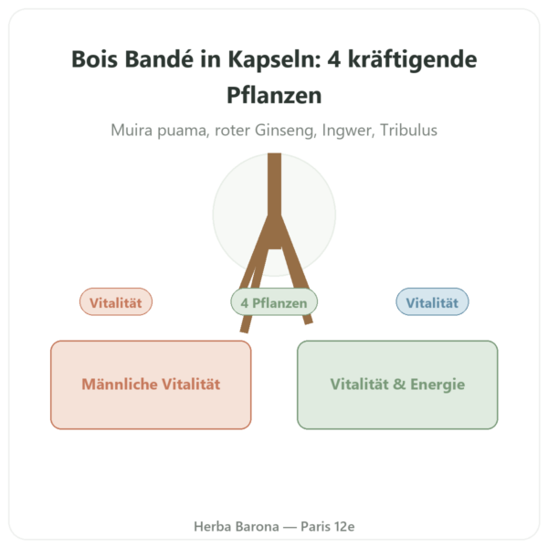 Bois Bandé – 75 Kapseln Vorstellung Paris Herba Barona