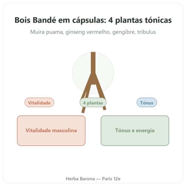 Bois Bandé – 75 Cápsulas – Afrodisíaco Natural apresentação Paris Herba Barona