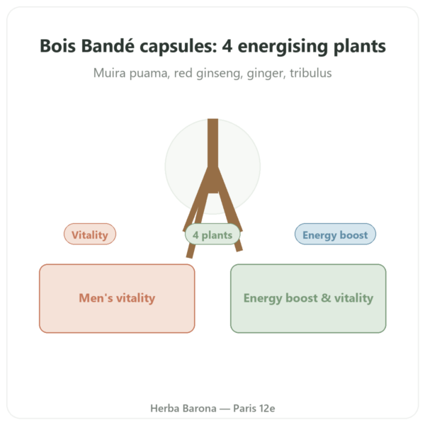 Bois Bande - 75 capsules - fast-acting herbal blend presentation Paris Herba Barona