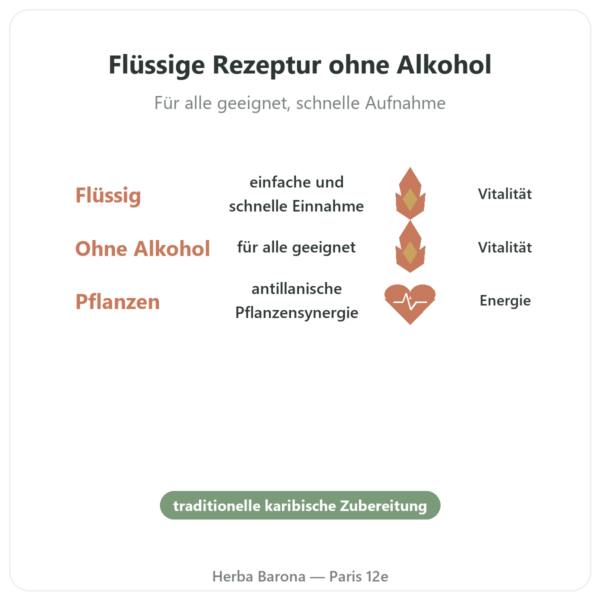 Bois Bandé Flüssig ohne Alkohol – Aphrodisiakum Vorteile und Fakten Paris Herba Barona