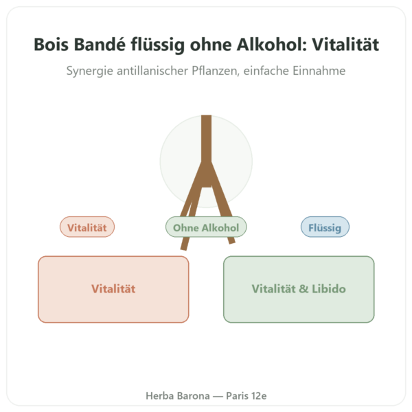 Bois Bandé Flüssig ohne Alkohol – Aphrodisiakum Vorstellung Paris Herba Barona