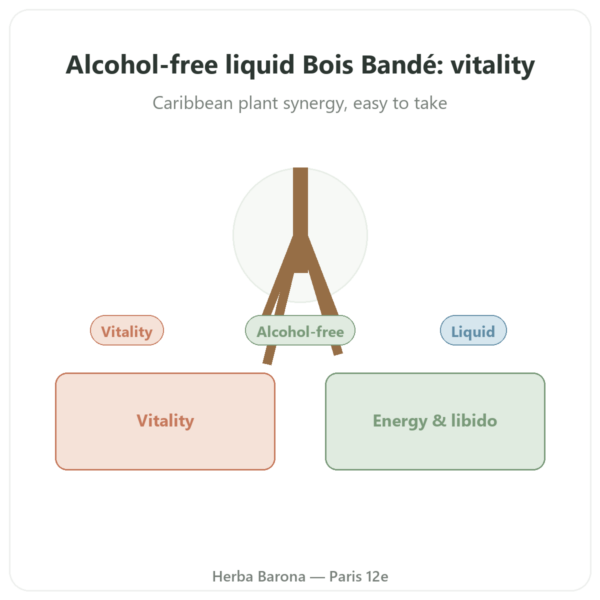 Bois Bandé Liquid Alcohol-Free – Natural Aphrodisiac presentation Paris Herba Barona