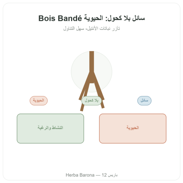 بوا باندي السائل بدون كحول عرض المنتج Paris Herba Barona