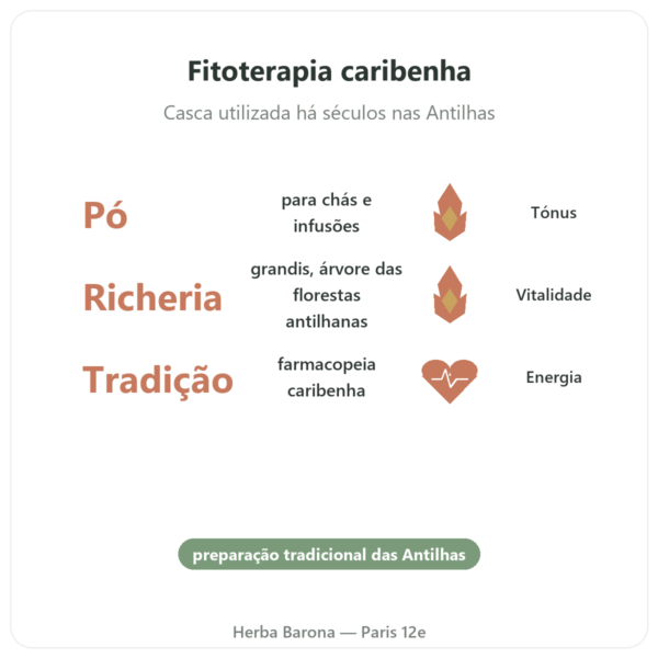 Bois Bandé em pó afrodisíaco para homem benefícios e dados principais Paris Herba Barona