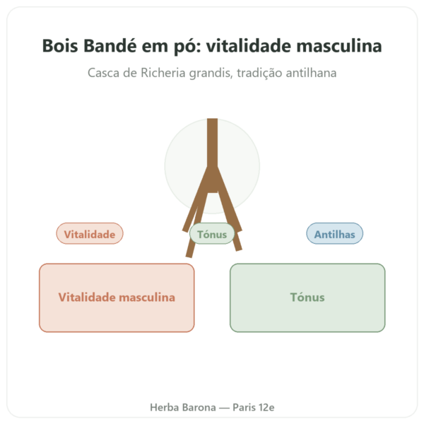 Bois Bandé em pó afrodisíaco para homem apresentação Paris Herba Barona